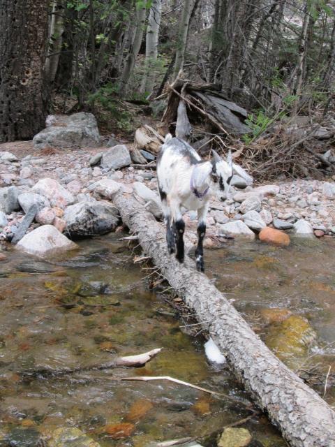 Filename: Hike_9:17:14.5.jpg
Size: 283.01 KB
09-29-2014, 06:02 AM