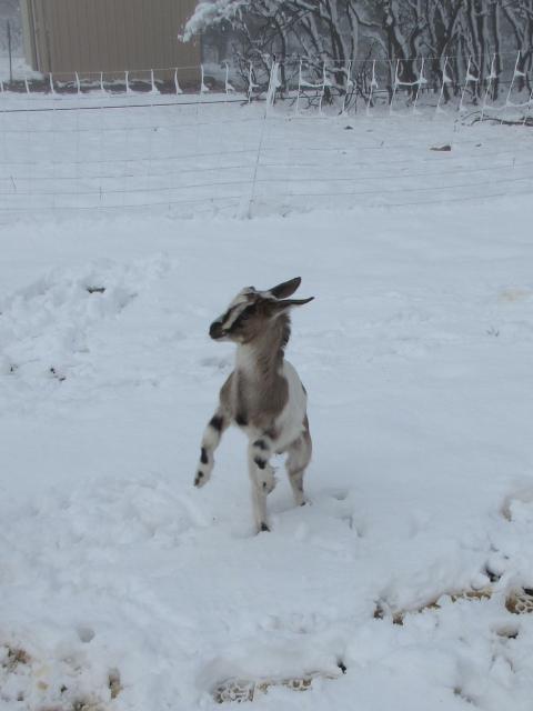 Filename: 5:11:21.5.jpg
Size: 204.75 KB
05-16-2021, 03:28 PM