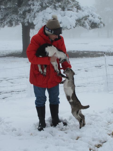 Filename: 5:11:21.7.jpg
Size: 216.91 KB
05-16-2021, 03:28 PM
