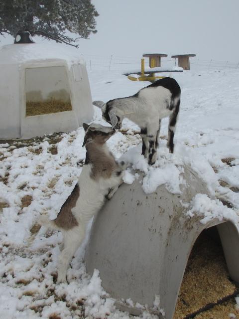Filename: 5:11:21.10.jpg
Size: 273.21 KB
05-16-2021, 03:28 PM