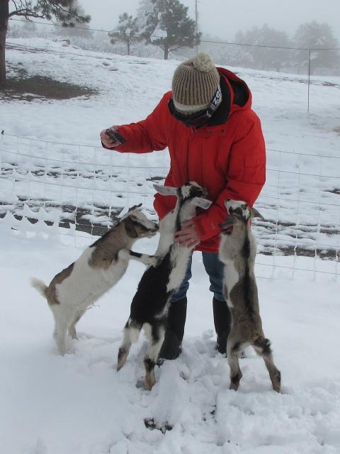 Filename: 5:11:21.11.jpg
Size: 267.68 KB
05-16-2021, 03:28 PM