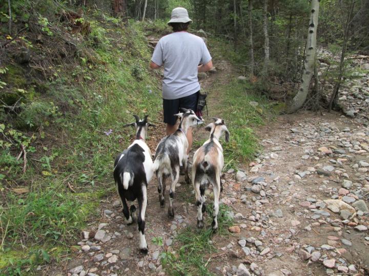 Filename: Hike_9:17:14.6.jpg
Size: 342.3 KB
09-29-2014, 06:03 AM