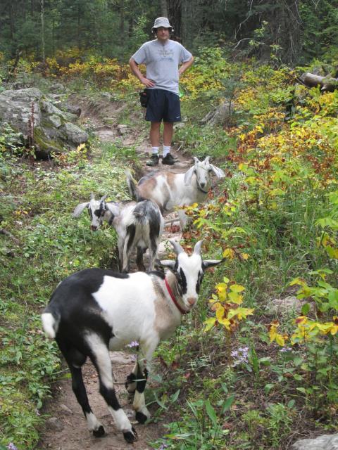 Filename: Hike_9:17:14.7.jpg
Size: 327.17 KB
09-29-2014, 06:03 AM