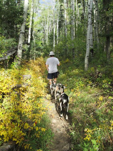 Filename: Hike_9:17:14.8.jpg
Size: 378.53 KB
09-29-2014, 06:03 AM