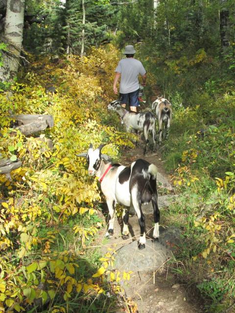 Filename: Hike_9:17:14.9.jpg
Size: 353.16 KB
09-29-2014, 06:03 AM