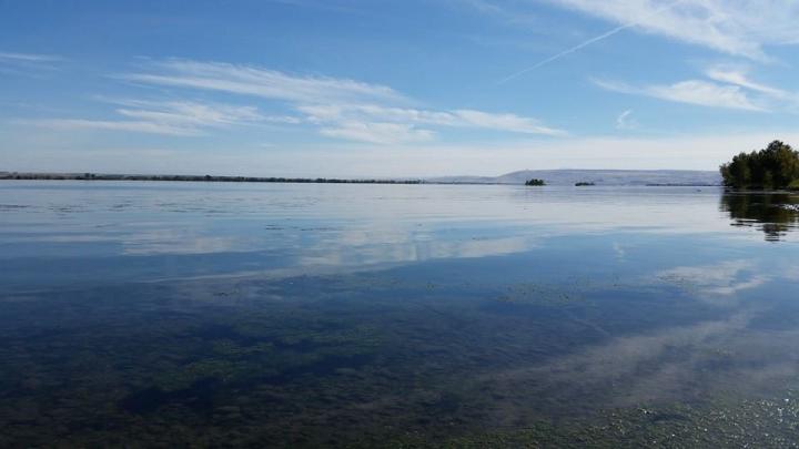 Filename: Columbia River.jpg
Size: 51.2 KB
09-29-2014, 09:05 PM