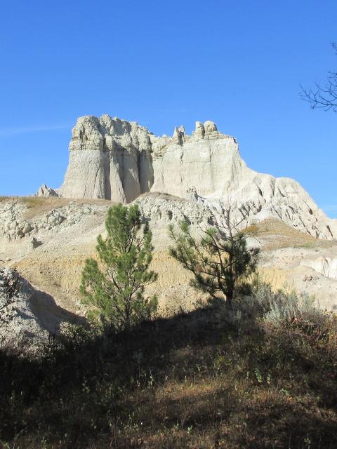 Filename: 9:24:21.6.jpg
Size: 409.86 KB
10-01-2021, 05:07 PM