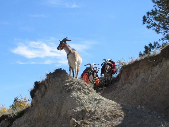 Filename: 9:25:21.9.jpg
Size: 286.71 KB
10-02-2021, 07:30 AM