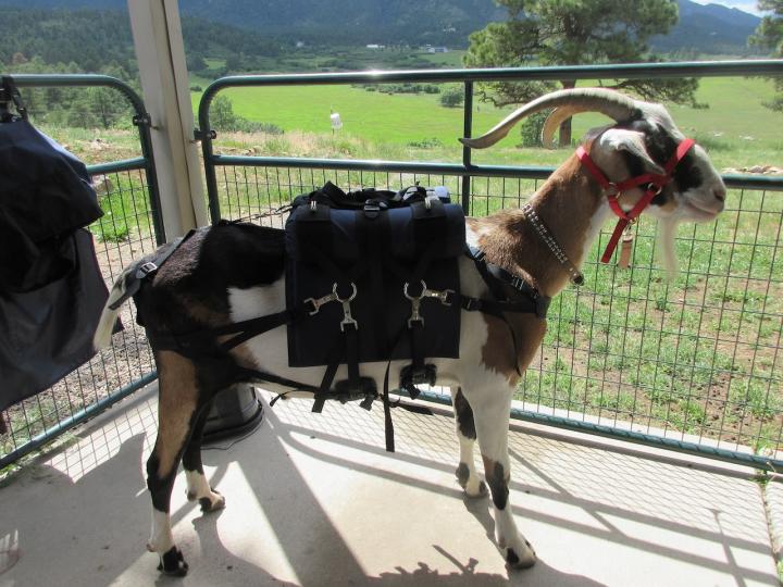 Filename: SoprisLumbar1.jpeg
Size: 415.79 KB
07-15-2023, 06:07 PM