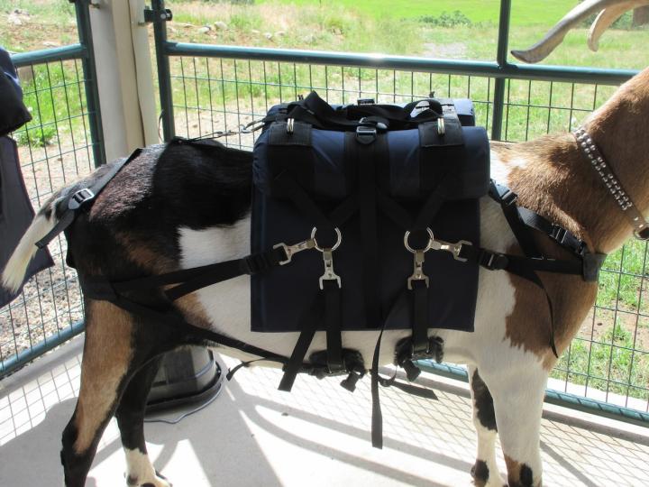 Filename: SoprisLumbar2.jpeg
Size: 347.62 KB
07-15-2023, 06:07 PM