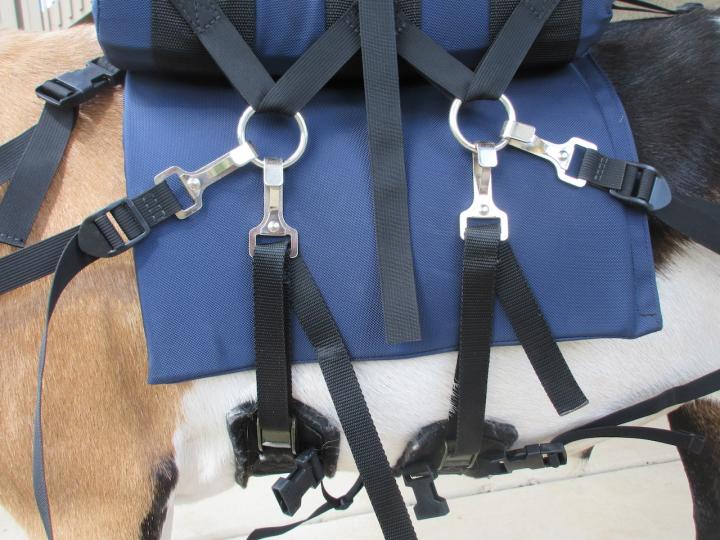 Filename: SoprisLumbar4.jpeg
Size: 436.81 KB
07-15-2023, 06:07 PM