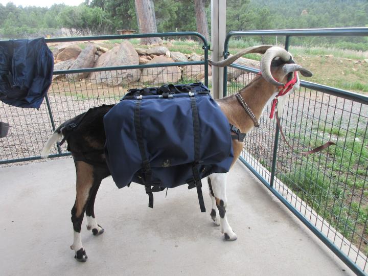 Filename: SoprisLumbar5.jpeg
Size: 423.01 KB
07-15-2023, 06:07 PM