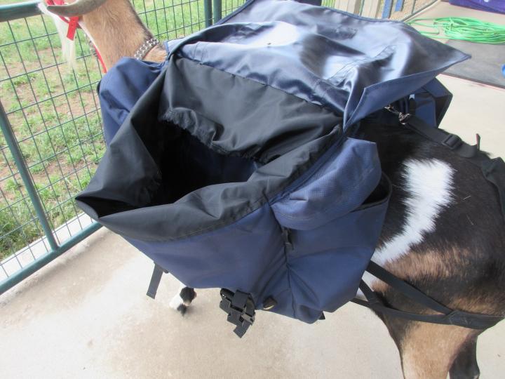 Filename: SoprisLumbar6.jpeg
Size: 332.53 KB
07-15-2023, 06:07 PM