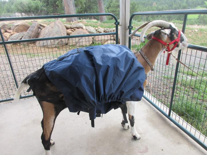 Filename: SoprisLumbar7.jpeg
Size: 434.85 KB
07-15-2023, 06:07 PM