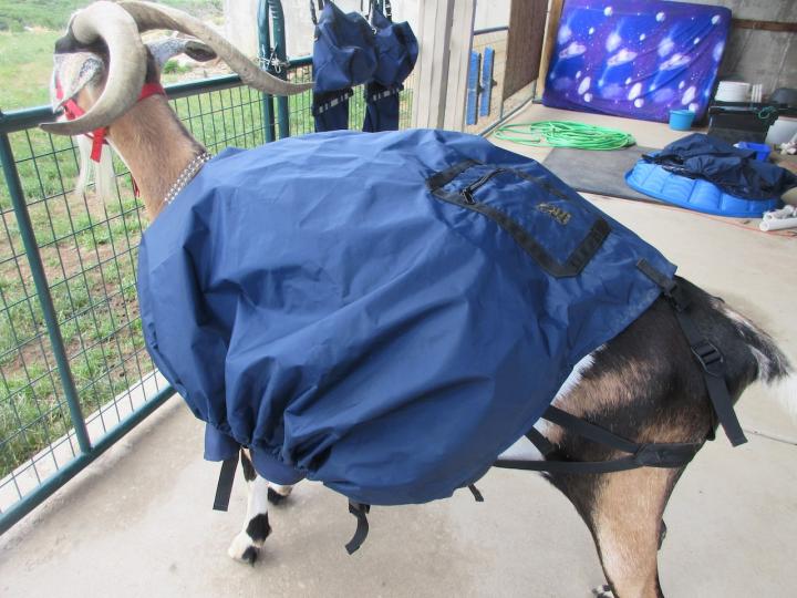 Filename: SoprisLumbar8.jpeg
Size: 339.61 KB
07-15-2023, 06:07 PM