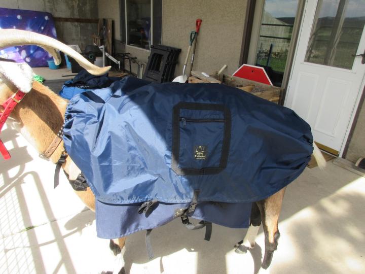 Filename: SoprisLumbar9.jpeg
Size: 280.94 KB
07-15-2023, 06:07 PM