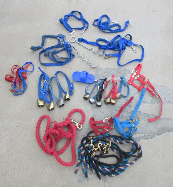Filename: All Ropes1.jpeg
Size: 464.56 KB
07-15-2023, 06:14 PM
