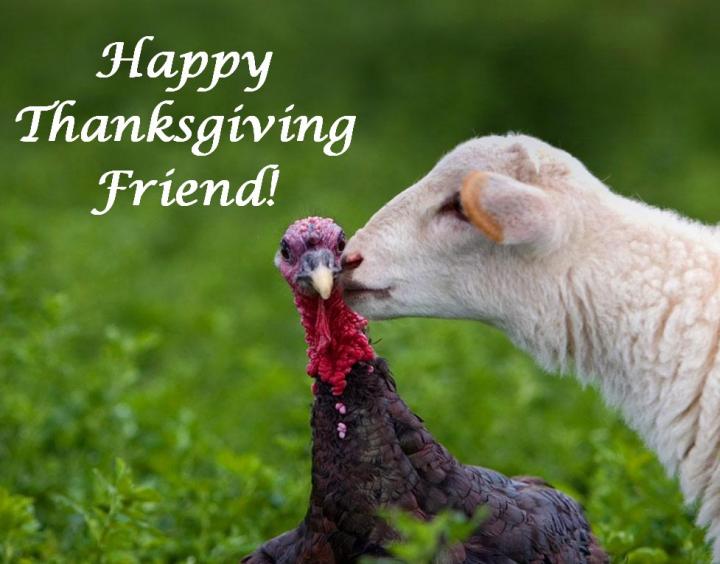 Filename: Happy Thanksgiving.jpg
Size: 125.31 KB
11-27-2014, 11:31 AM